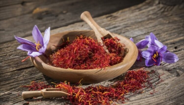 Saffron, plant chemicals and medicinal properties[2023]