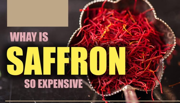 Why is Saffron so Expensive? Part 2