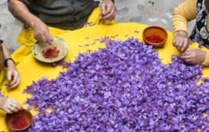 Instagram-hashtag-generator