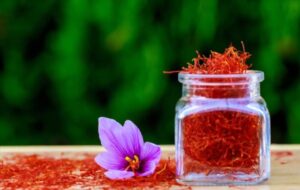 Instagram-hashtag-generator