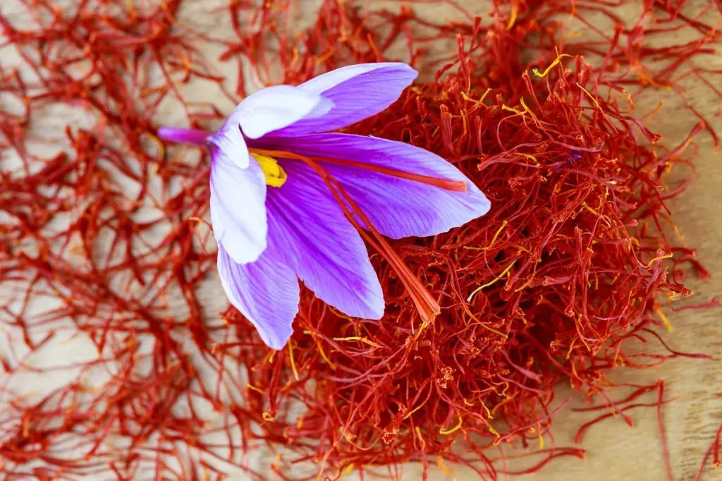 What is Saffron used for in cooking?