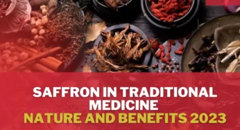 Saffron in Traditional Medicine [Nature and Benefits 2023]