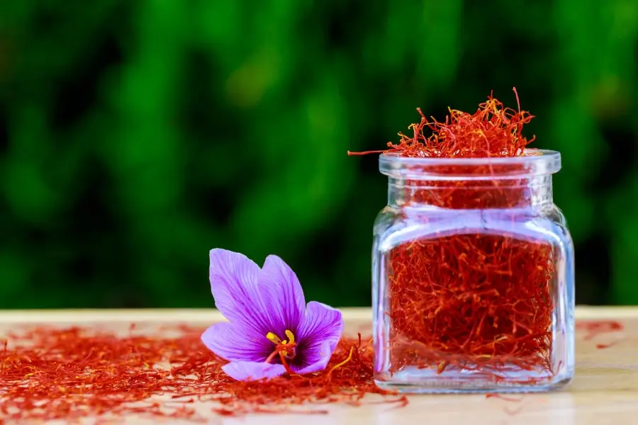 How to Use Saffron for Weight Loss?