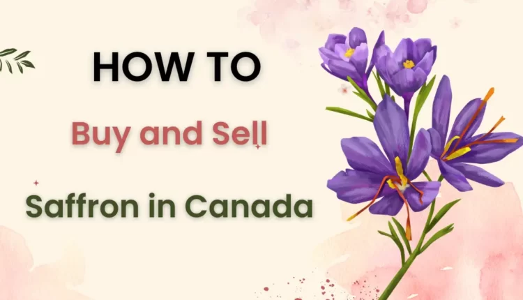 The Secret to Success: How to Buy and Sell Saffron in Canada