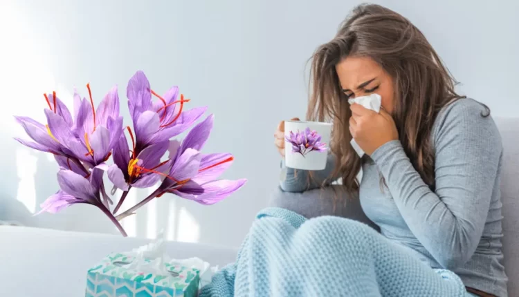 Saffron and colds (how to use) 2023