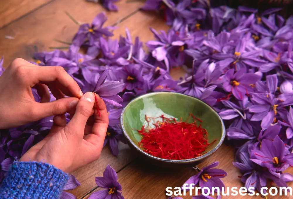 The effect of saffron on PMS