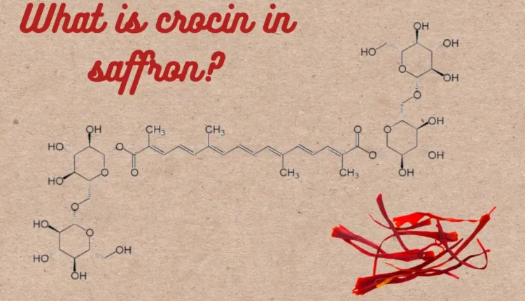 What is crocin in saffron? [3 important benefits]