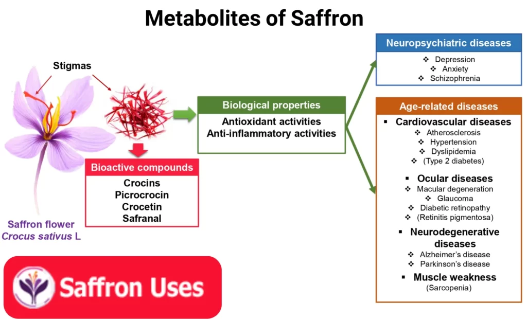 Crocin and Antioxidant Function