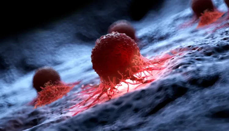 The Impact of Saffron on Cancer